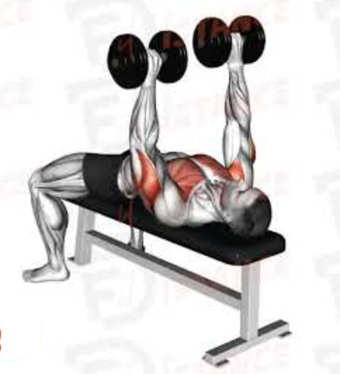 Dumbbell Press